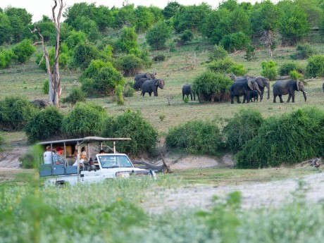 Chobe River Camp_Namibia_Chobe Game Driv