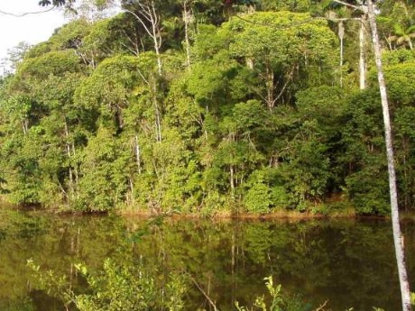 Laguna del Lagarto Lodge - Area