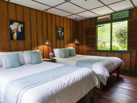 Trogon Lodge - Twinbed Room