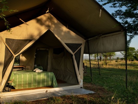 Serengeti Kati Kati_Tentext