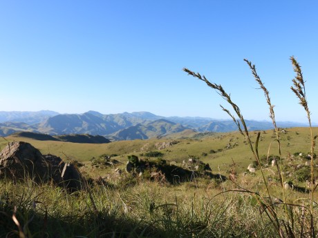 Swaziland Malolotja Dinga Helena Hoell-1