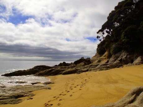 Beach in Abel Tasman National Park in Ne