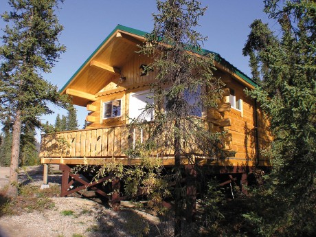 Denali Grizzly Bear Resort - Cabin