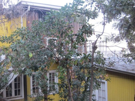 Pablo Neruda's House