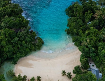 Frenchman's Cove Bird's Eye View