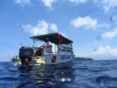 Pirate Cove Diving 3