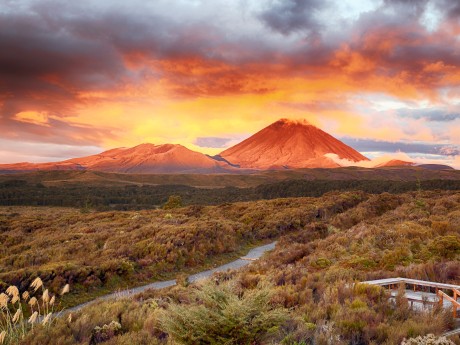Neuseeland_Ni_Mt Ngauruhoe_Tongariro NP 