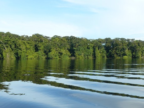 Tortuguero Canals