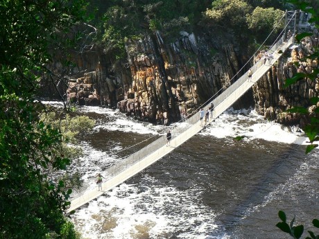 Bridge in Tsitsikamma