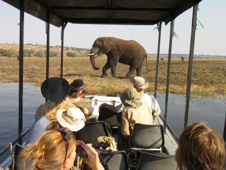 Sunway Botswana Chobe Wayne Mwango-3233