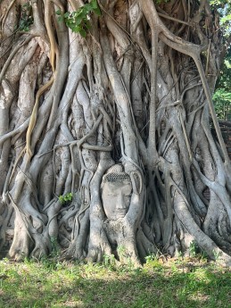 Wat Mahathat, Ayutthaya