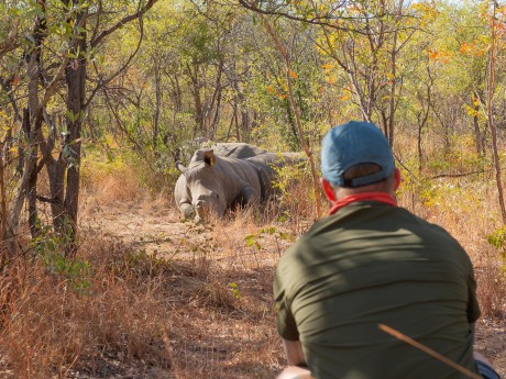Sunway Zimbabwe Matobos Bruce Taylor-085