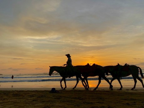 Horseback Beach Ride