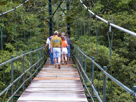 Sarapiquí Old Bridge