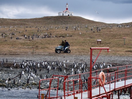 Punta Arenas