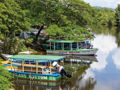 Negril: Glass Bottom Boat 