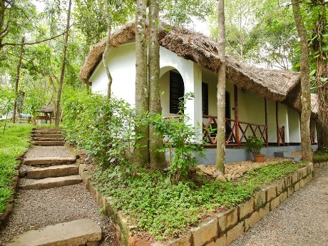 Periyar Spice Garden