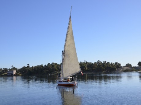 Felucca on the Nile