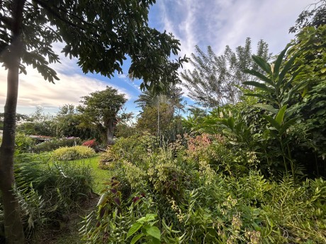 Smithy's Garden