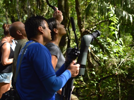 Nature Walk Manuel Antonio