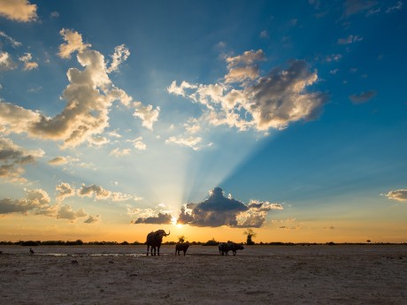 Sunway Botswana Savuti Bruce Taylor-3825