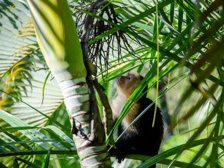 Cabo Blanco national park