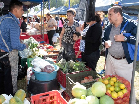 Shopping at the Market