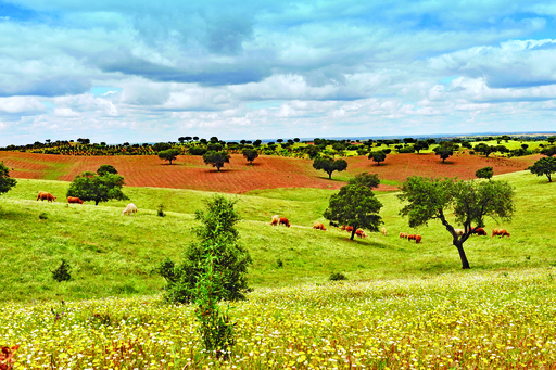 Portugal Hinterland an der Algarve