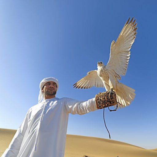 Arabisches Emirat Dubai Mann + weissen Falke
