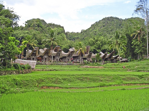 Asien Indonesien Sulawesi Tongkonan Haus