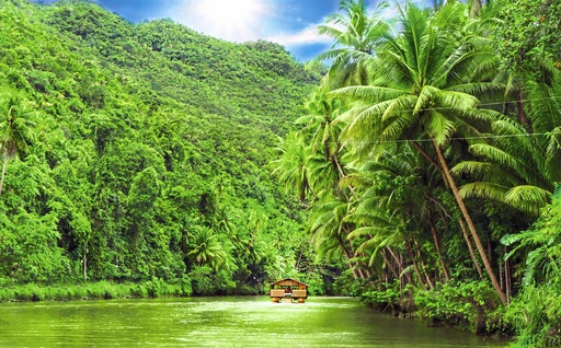 Asien Philippinen Bohol Lobok Fluss