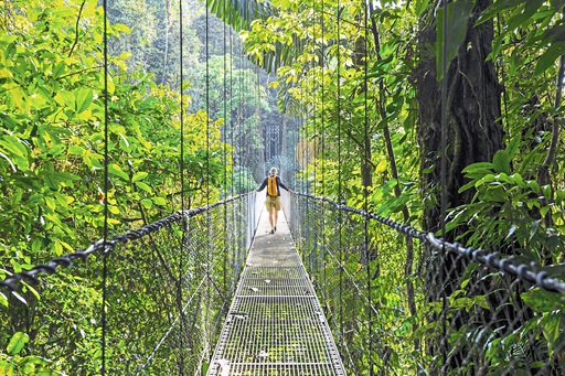 Hängebrücke in Monteverde