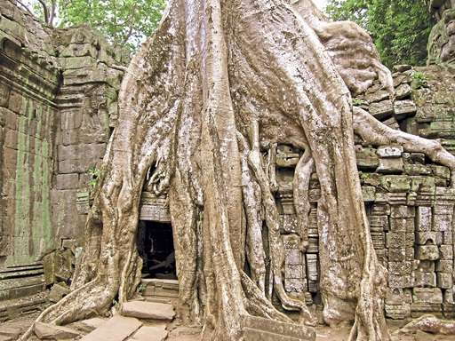 Asien Kambodscha Angkor Wat Tempel Ta Phrom