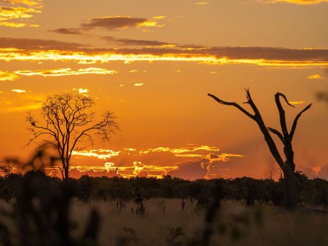 Africa_Experiences_ Botswana_Savuti (3)