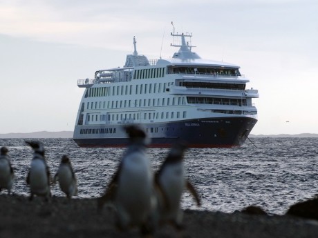 Die Stella Australis