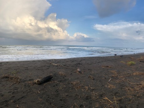 Tortuguero Beach