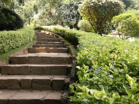 Royal Botanic Gardens, Peradeniya