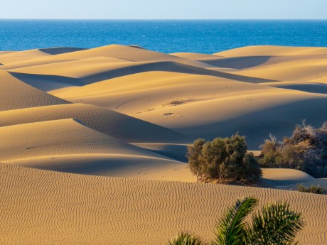 Gran Canaria Maspalomas Sandduenen