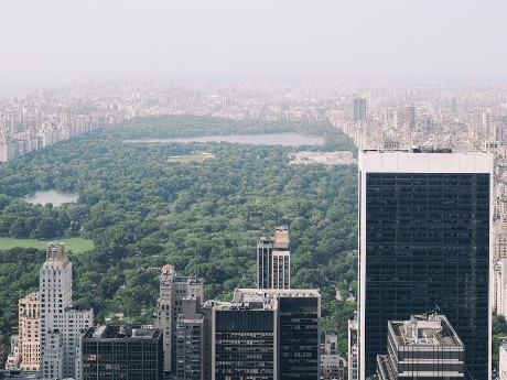 Central Park in New York City