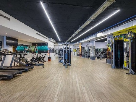 Fitness, Four Views Monumental