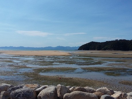 Lake in Abel Tasman National Park in NZ