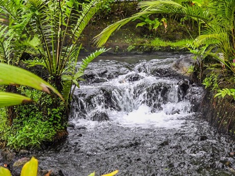 Natural Hot Springs La Fortuna