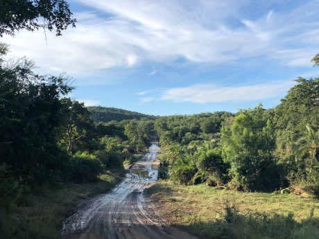 South Africa Hluhluwe Bruce Taylor-1153