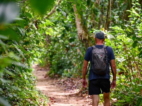 Cahuita National Park Walking
