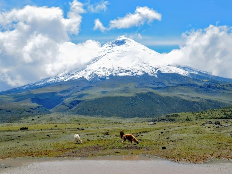 Cotopaxi