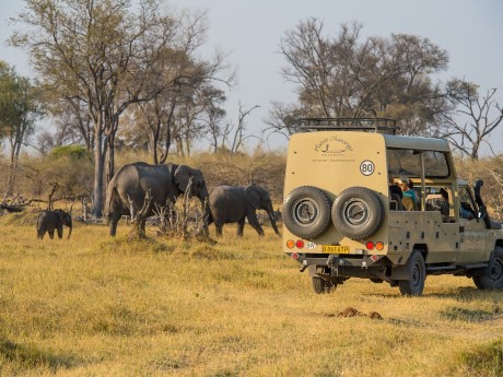 Sunway Botswana Land Cruiser Bruce Taylo