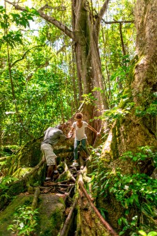 Rope Walk in Rainforest