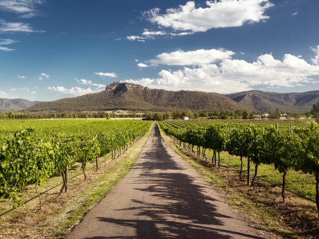Australien_New South Wales_Hunter Valley