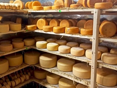 Mikaelyan Family Farm