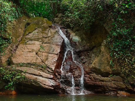 Tobago: Island Girl Tours